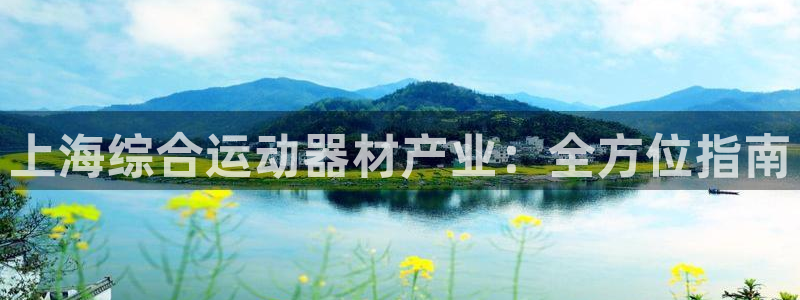 意昂3神州：上海综合运动器材产业：全方位指南