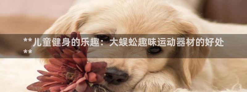 意昂体育3招商：**儿童健身的乐趣：大蜈蚣趣味运动器
