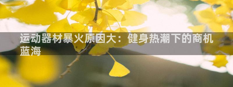 意昂3娱乐是那个系列的台子：运动器材暴火原因大：健身
