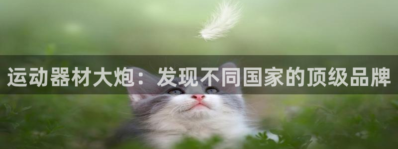 意昂体育3平台是正规平台吗：运动器材大炮：发现不同国