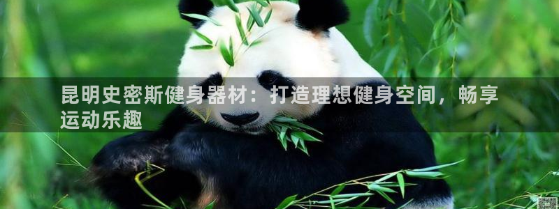 意昂体育3官方客服电话：昆明史密斯健身器材：打造理想健身空间