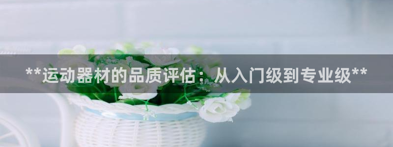意昂3集团官网网址：**运动器材的品质评估：从入门级