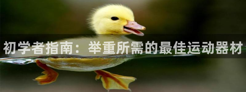 意昂3五金厂：初学者指南：举重所需的最佳运动器材