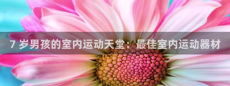 海南意昂体育3发展怎么样：7 岁男孩的室内运动天堂：