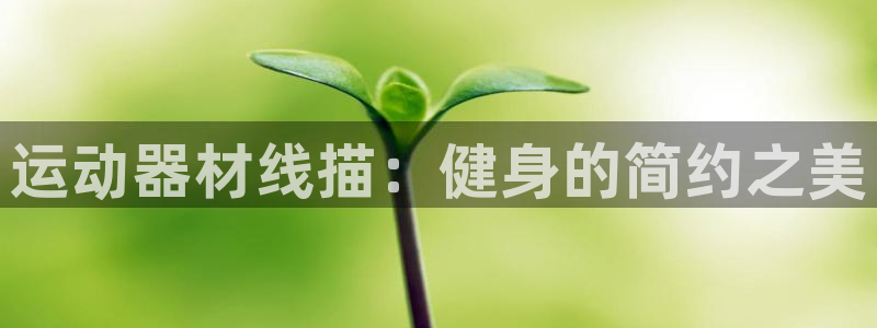 意昂3神州：运动器材线描：健身的简约之美