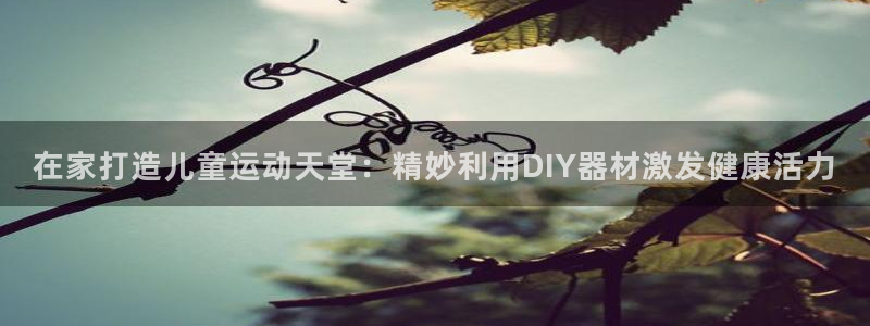 意昂3娱乐下载：在家打造儿童运动天堂：精妙利用DIY