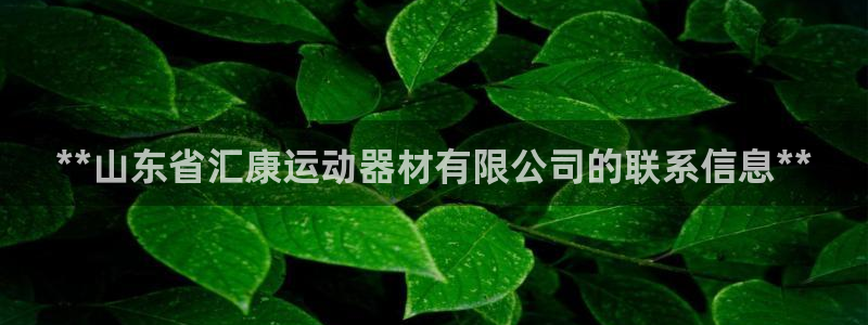 意昂体育3平台注册：**山东省汇康运动器材有限公司的