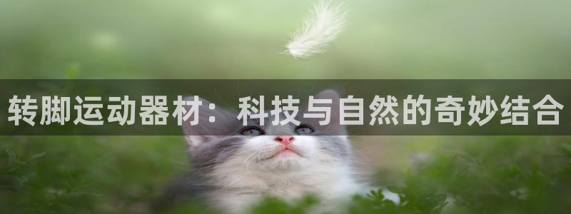 意昂3集团E.ON