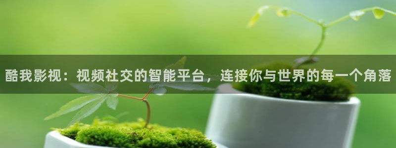 八一影院在线看