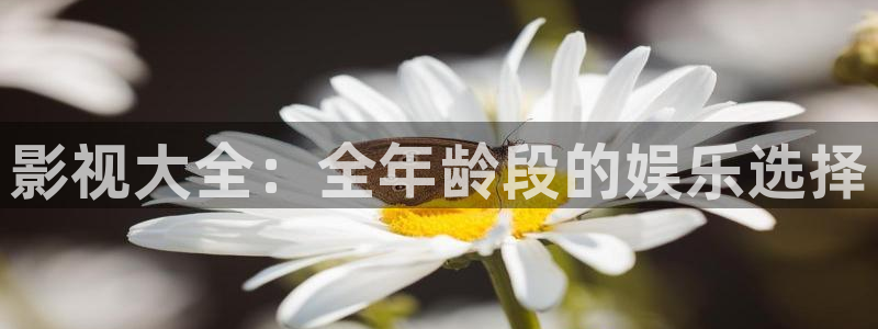八一影院手机版免费下载