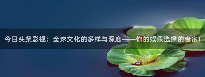 八一影视网