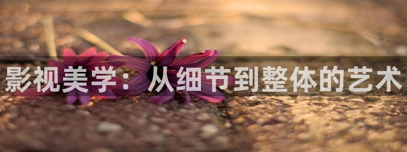 八一影视app官网